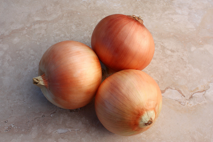 Great Western F1 (SON102Y) - Onion from Friendswood Garden Emporium